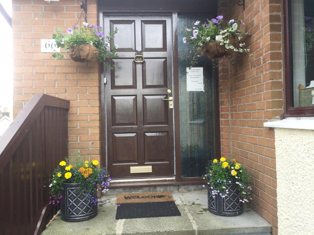 On Route 74 Cycle Route - Glencaple Manse, Crawford Apartment Bagian luar foto